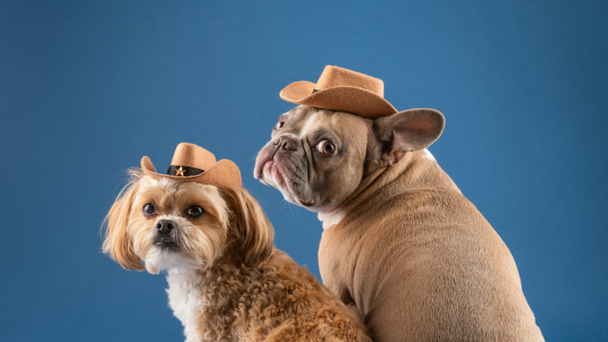 CoinMarketCap Academy